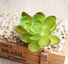 Load image into Gallery viewer, 1PC Mini Fake Succulents