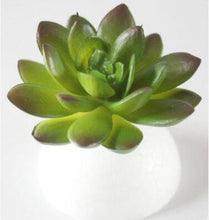 Load image into Gallery viewer, 1PC Mini Fake Succulents