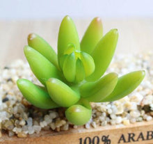 Load image into Gallery viewer, 1PC Mini Fake Succulents