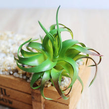 Load image into Gallery viewer, 1PC Mini Fake Succulents