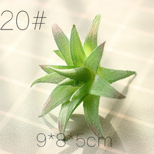 Load image into Gallery viewer, 1PC Mini Fake Succulents