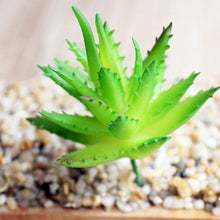 Load image into Gallery viewer, 1PC Mini Fake Succulents