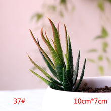 Load image into Gallery viewer, 1PC Mini Fake Succulents