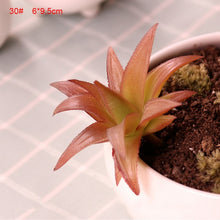 Load image into Gallery viewer, 1PC Mini Fake Succulents