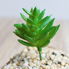 Load image into Gallery viewer, 1PC Mini Fake Succulents