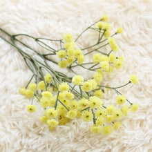Load image into Gallery viewer, Artificial Baby's Breath Flower