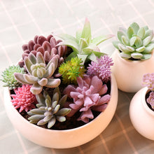 Load image into Gallery viewer, Artificial Succulents Land Lotus