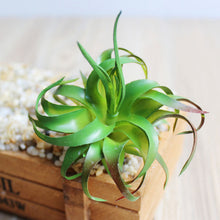 Load image into Gallery viewer, Artificial Succulents Land Lotus