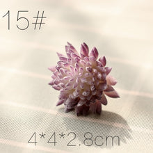 Load image into Gallery viewer, Artificial Succulents Land Lotus