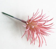 Load image into Gallery viewer, Artificial Succulents Land Lotus