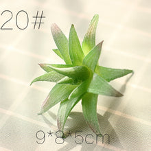 Load image into Gallery viewer, Artificial Succulents Land Lotus
