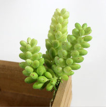 Load image into Gallery viewer, Artificial Succulents Land Lotus