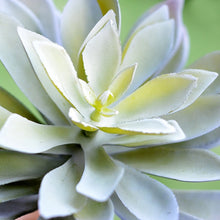 Load image into Gallery viewer, 1 PCS Large Lotus Artificial Plant